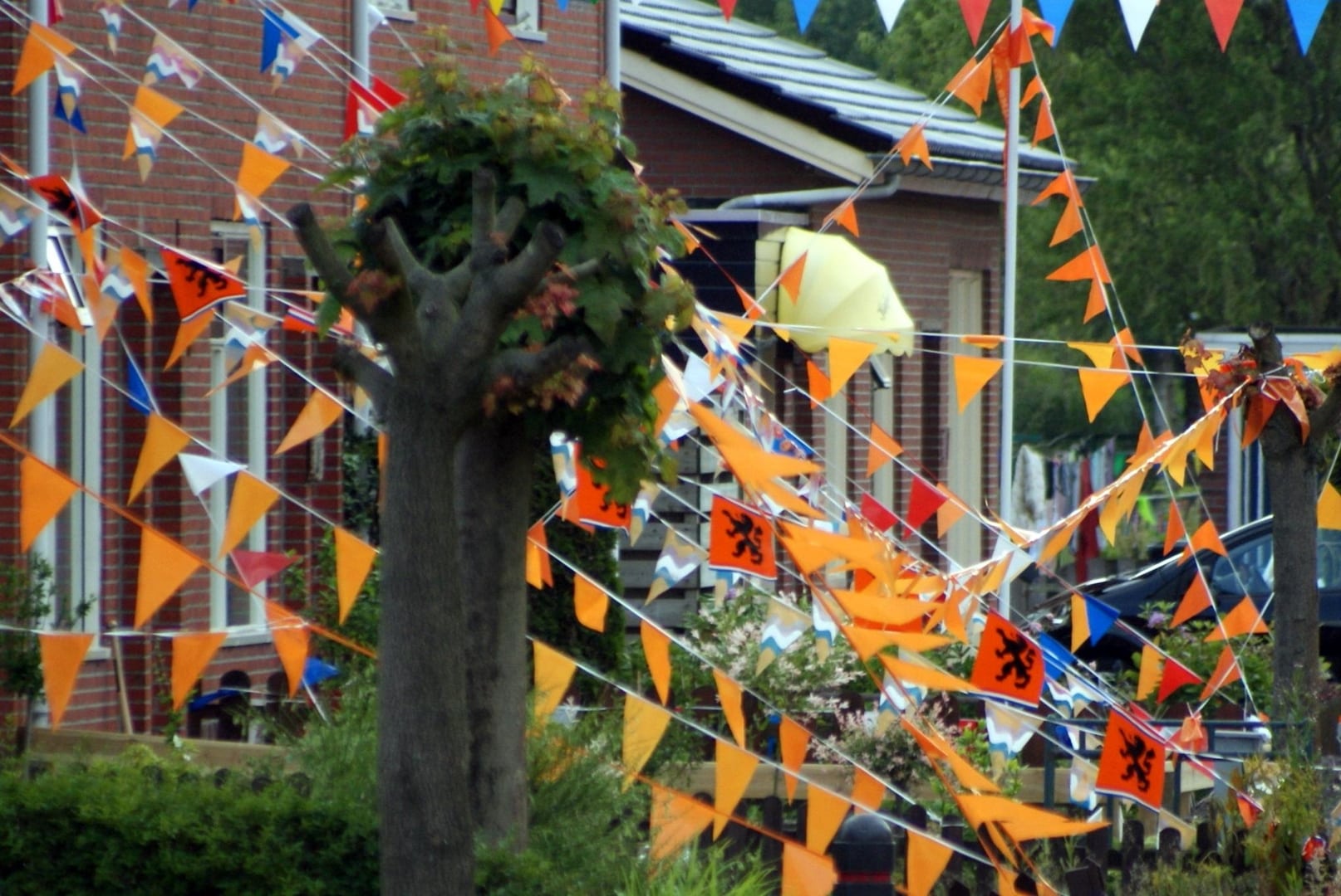 Heiligerlee 2010 Oranje Graaf Adolfstr
